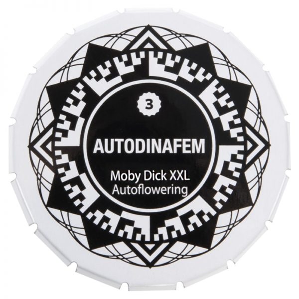 0740301 1 moby dick xxl autoflowering 3 seeds dinafem