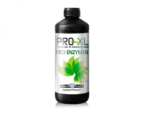 700173 pro enzymen 1l