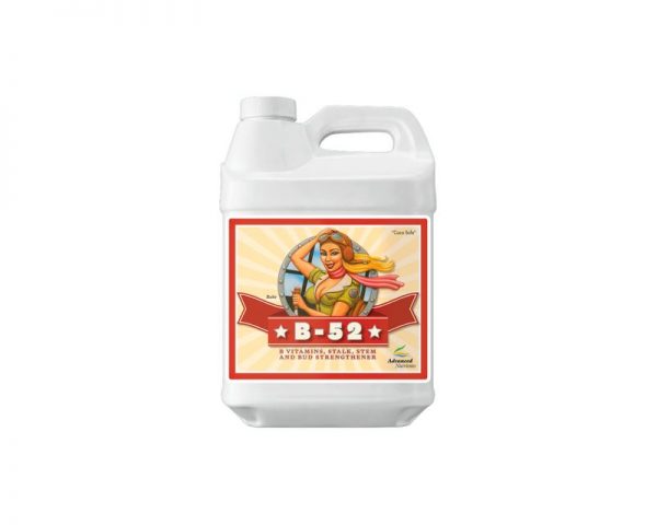 719115 advanced nutrients b 52 10l