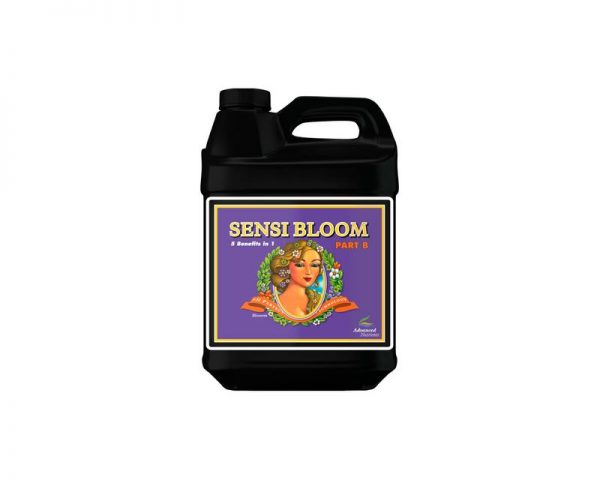 719151 phperfect sensi bloom partb500ml