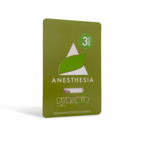 Anesthesie