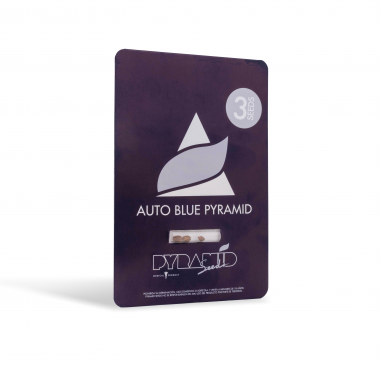 Auto blue pyramid