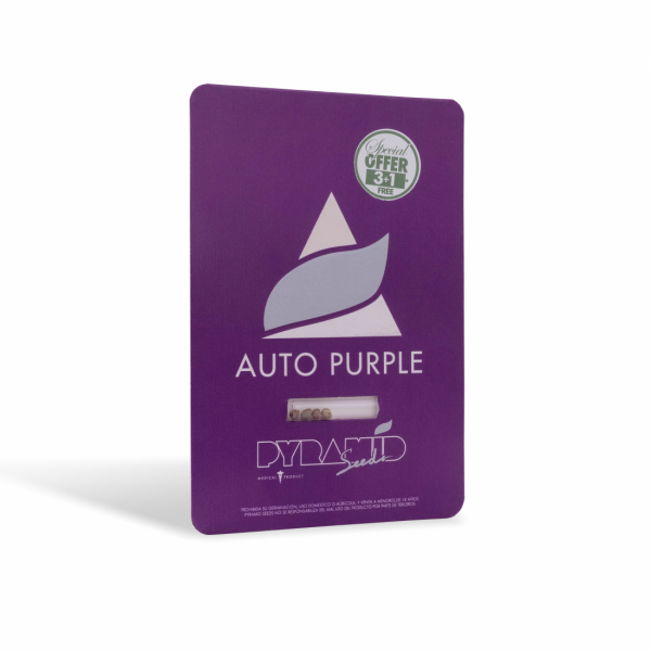 Auto purple 1