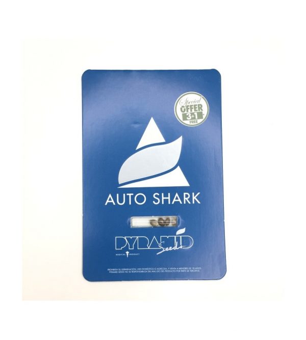 Auto shark 31
