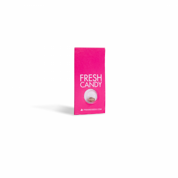 Fresh candy 1