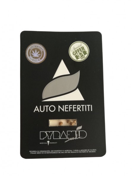 Nefertiti auto x31 pyramid seeds