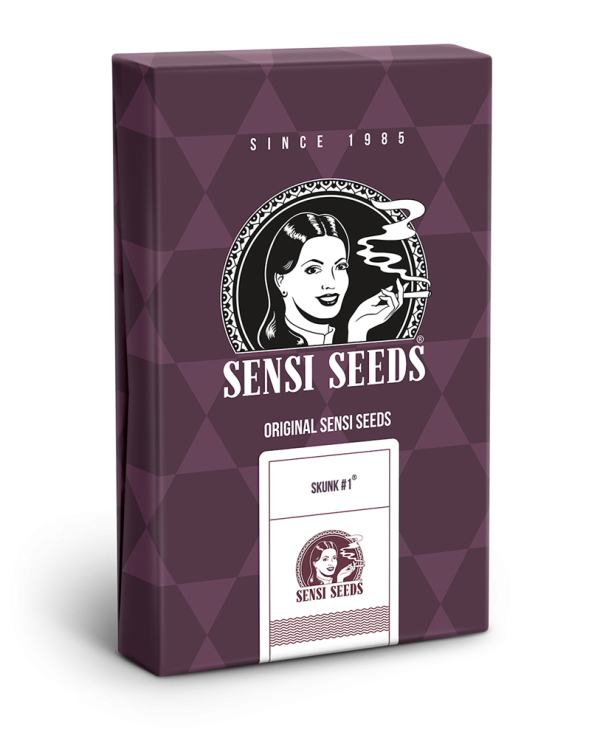 Skunk 1 feminizada xl 4