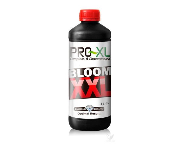 700188 bloom xxl 1l