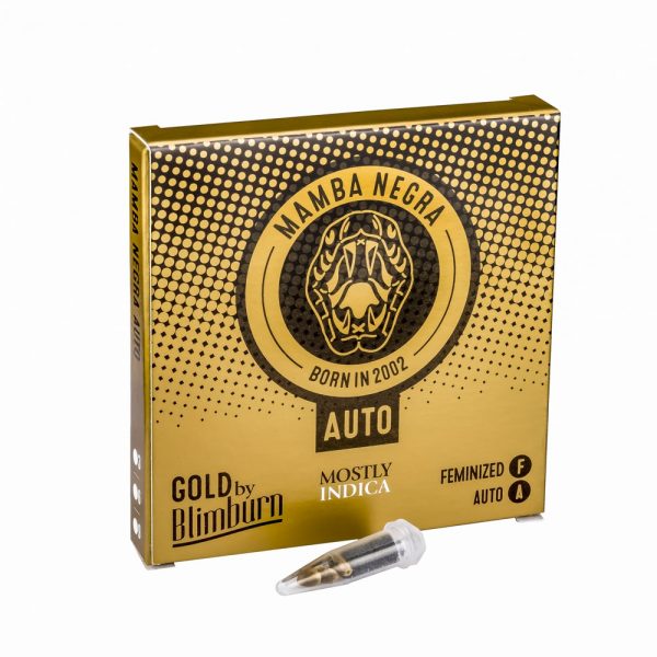 Mamba negra auto